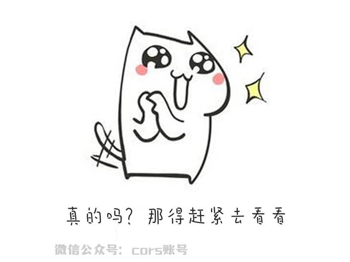 cors賬號的接入點是多少？
